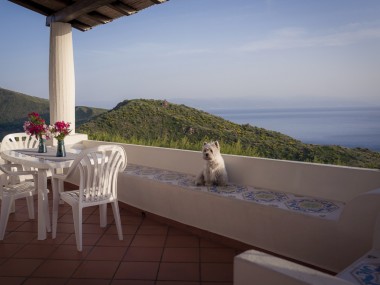 PATIO 1